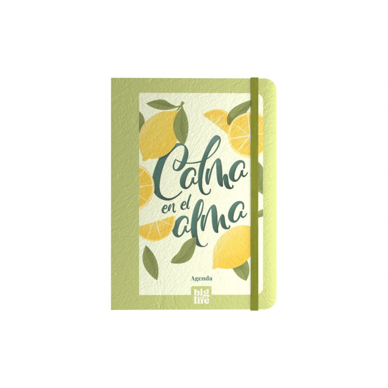 AGENDA NATURAL 15X21 SV PERPETUA